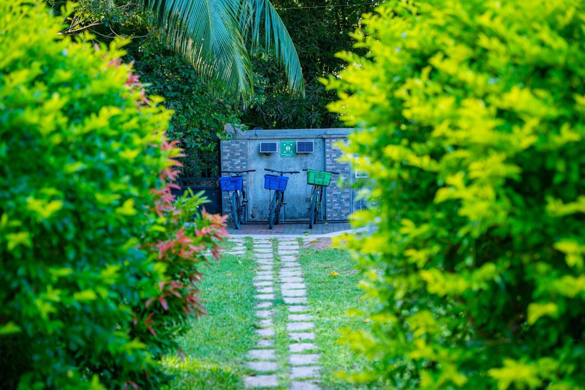 Pension Michel Villa Roche Bois La Digue Buitenkant foto